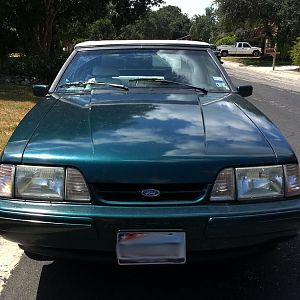 04 Mustang photo exterior1