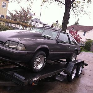 mustang 3