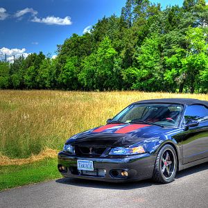 04 Cobra side
