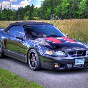 04 Cobra left