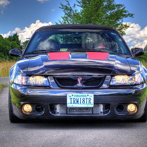 04 Cobra front