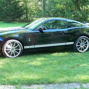 GT500 SHELBY 2 002