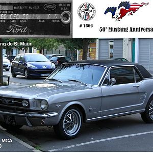 This photo will be on the rental hertz MUSTANG we drive at the 50th anniversary in Las Vegas with french Mustang club