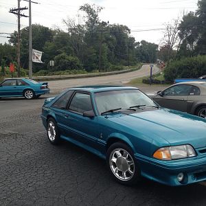 Teal polished 1