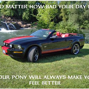 PONY