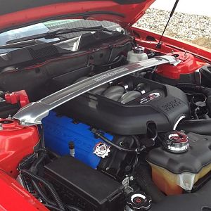 Ford Strut Tower Brace
Blue Ford Coil Covers
Red Line Hood Struts