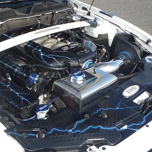 45914.jpg
