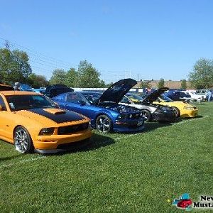 News day field of wheels 2014 pic by Stu