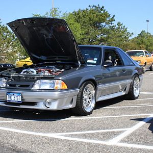 46517.jpg