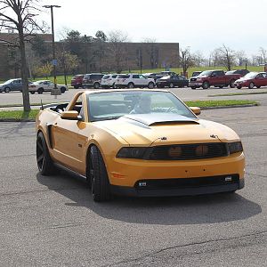 2014 50th Anniversary Mustang Show West Herr 013