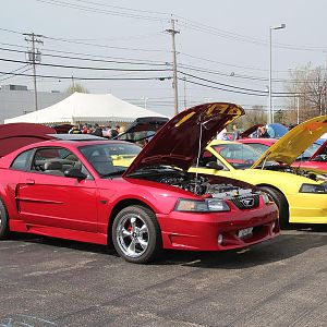2014 50th Anniversary Mustang Show West Herr 036