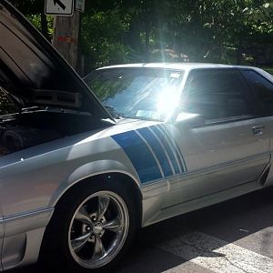 MoonlightCruisersPelham1