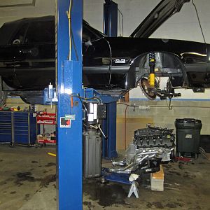 IMG 3518