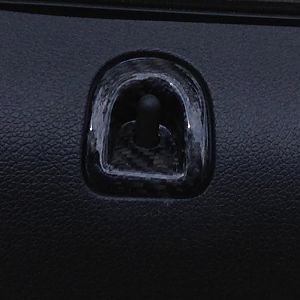 Trucarbon door lock bucket