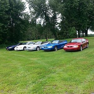 In order Dark blue 95 5.0, White 98 v6, Silver 95 Conv GT, light blue 98 SVT cobra conv, Red 98 SVT cobra.