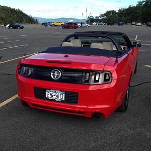 mustang show 032