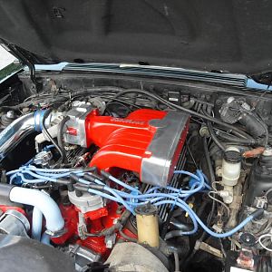 SDC10353