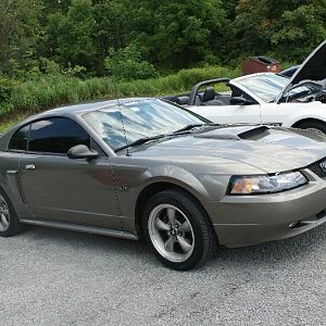 Veteran's Cruise