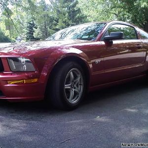 stang