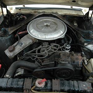 DSC 2272