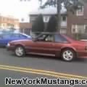 old stang