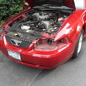 My blind mustang :D