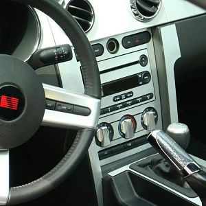 saleen 010