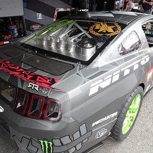 50800.jpg