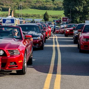 Red Mustang Registry making their grand entrance into the event