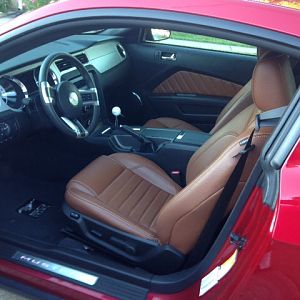 Shit of my saddle interior.