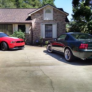 Hanging in the Driveway