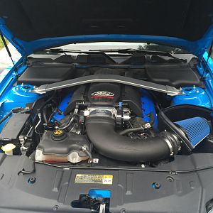 Cobra Jet