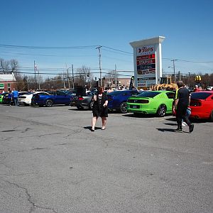 IMG 6437