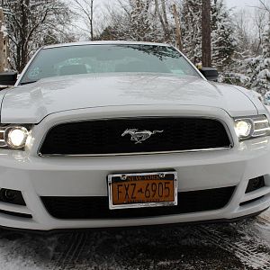008