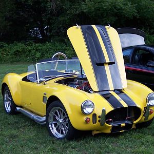 Cobra