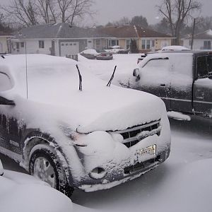 1/4/18 We got 12" of snow.