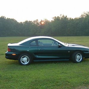 SN95 sexiness