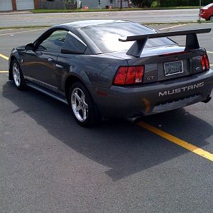 stang back