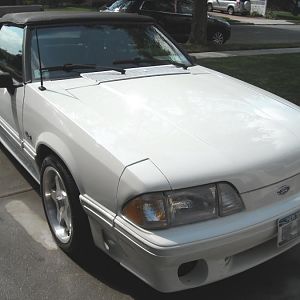 Stang2