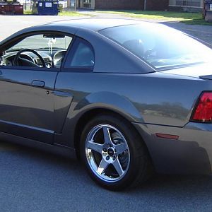 cobra low 8