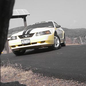 IMG 0697