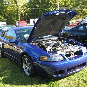 MustangMan13