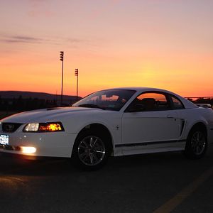 a year after purchase