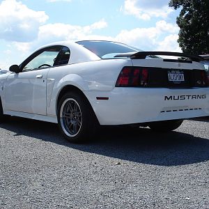 Blacked out the rear