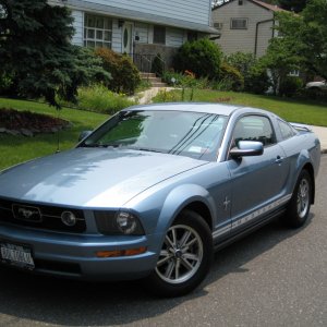 MustangPhotos_Frank.061408 001.jpg