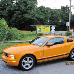 IMG_0043.jpg