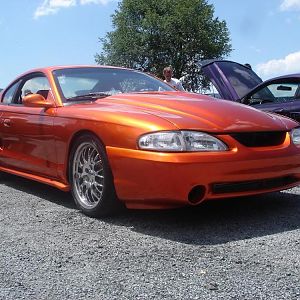 mustang 5