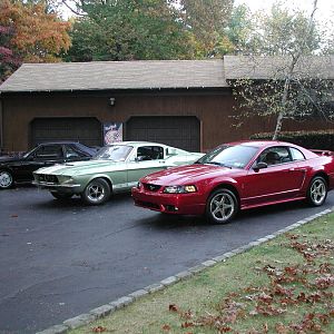 My Stable