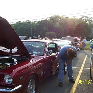 65 stang