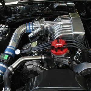 IMG 0608